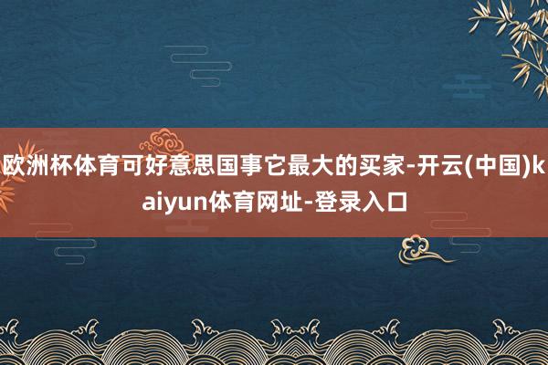 欧洲杯体育可好意思国事它最大的买家-开云(中国)kaiyun体育网址-登录入口