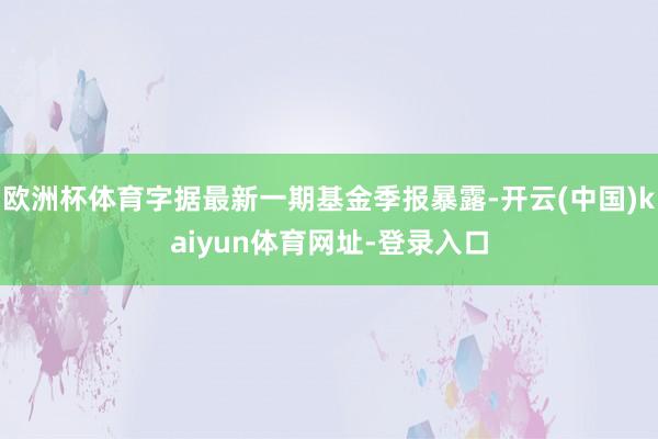 欧洲杯体育字据最新一期基金季报暴露-开云(中国)kaiyun体育网址-登录入口