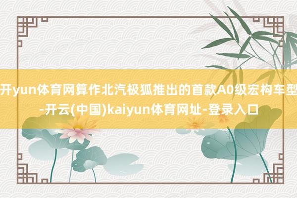 开yun体育网算作北汽极狐推出的首款A0级宏构车型-开云(中国)kaiyun体育网址-登录入口