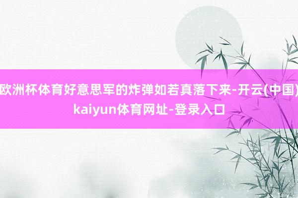 欧洲杯体育好意思军的炸弹如若真落下来-开云(中国)kaiyun体育网址-登录入口