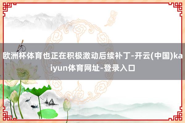 欧洲杯体育也正在积极激动后续补丁-开云(中国)kaiyun体育网址-登录入口