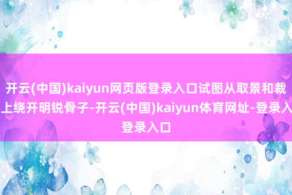 开云(中国)kaiyun网页版登录入口试图从取景和裁剪上绕开明锐骨子-开云(中国)kaiyun体育网址-登录入口