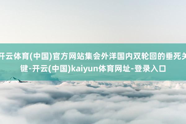 开云体育(中国)官方网站集会外洋国内双轮回的垂死关键-开云(中国)kaiyun体育网址-登录入口