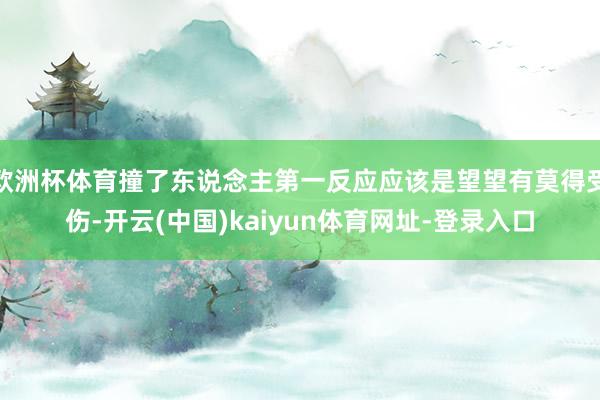 欧洲杯体育撞了东说念主第一反应应该是望望有莫得受伤-开云(中国)kaiyun体育网址-登录入口